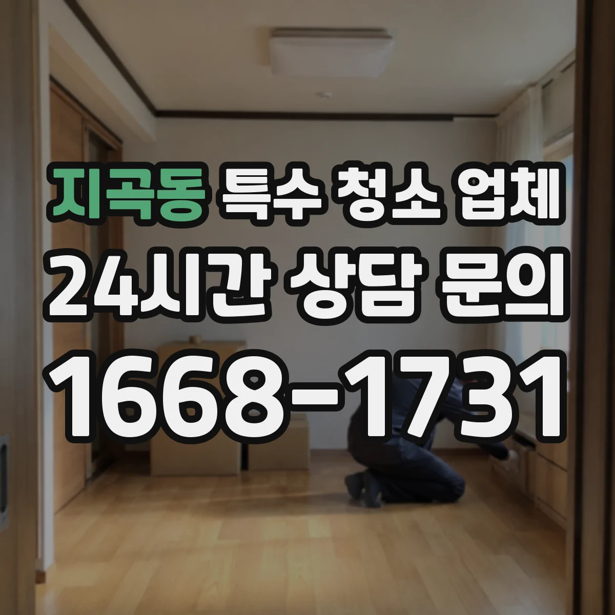 지곡동 특수 청소 업체