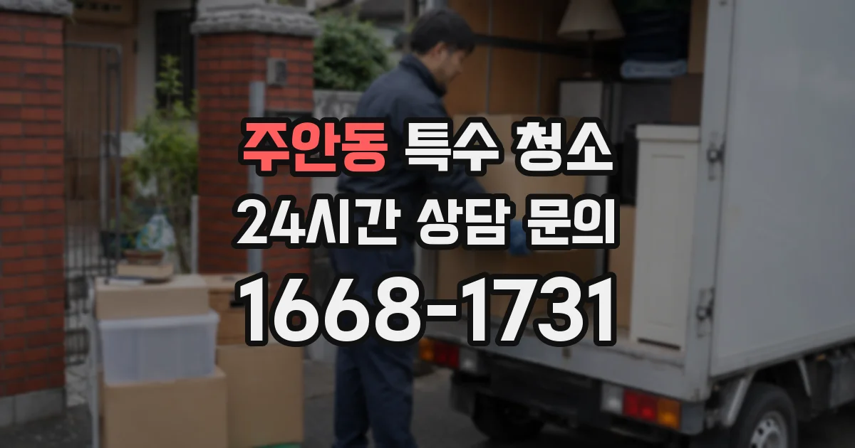 주안동 특수 청소