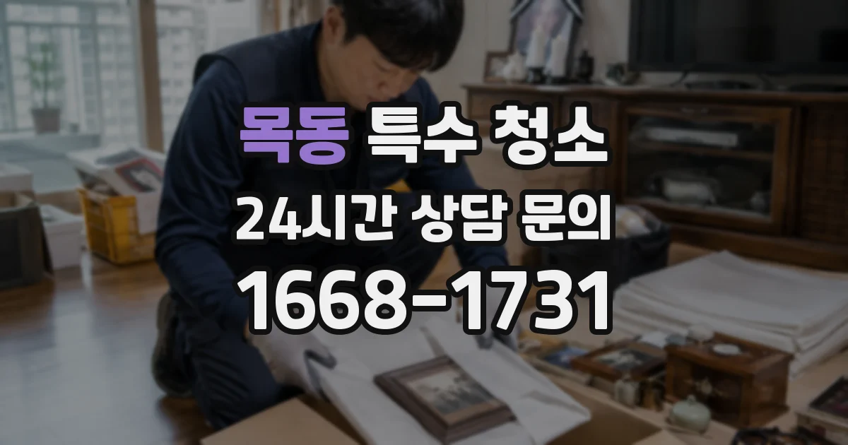 목동 특수 청소