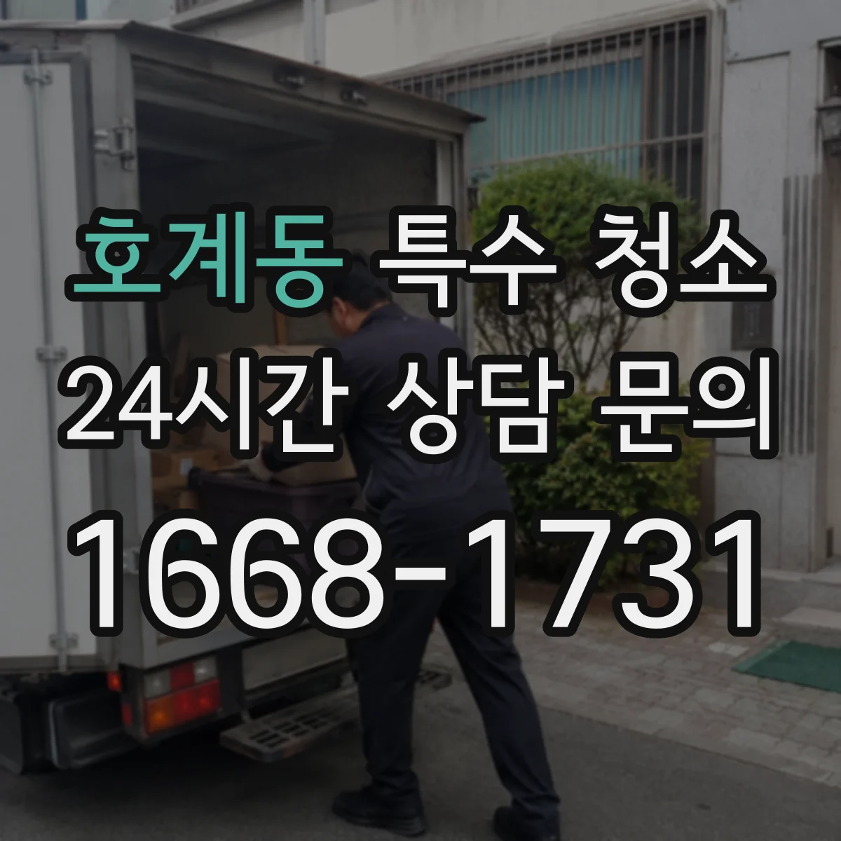 호계동 특수 청소