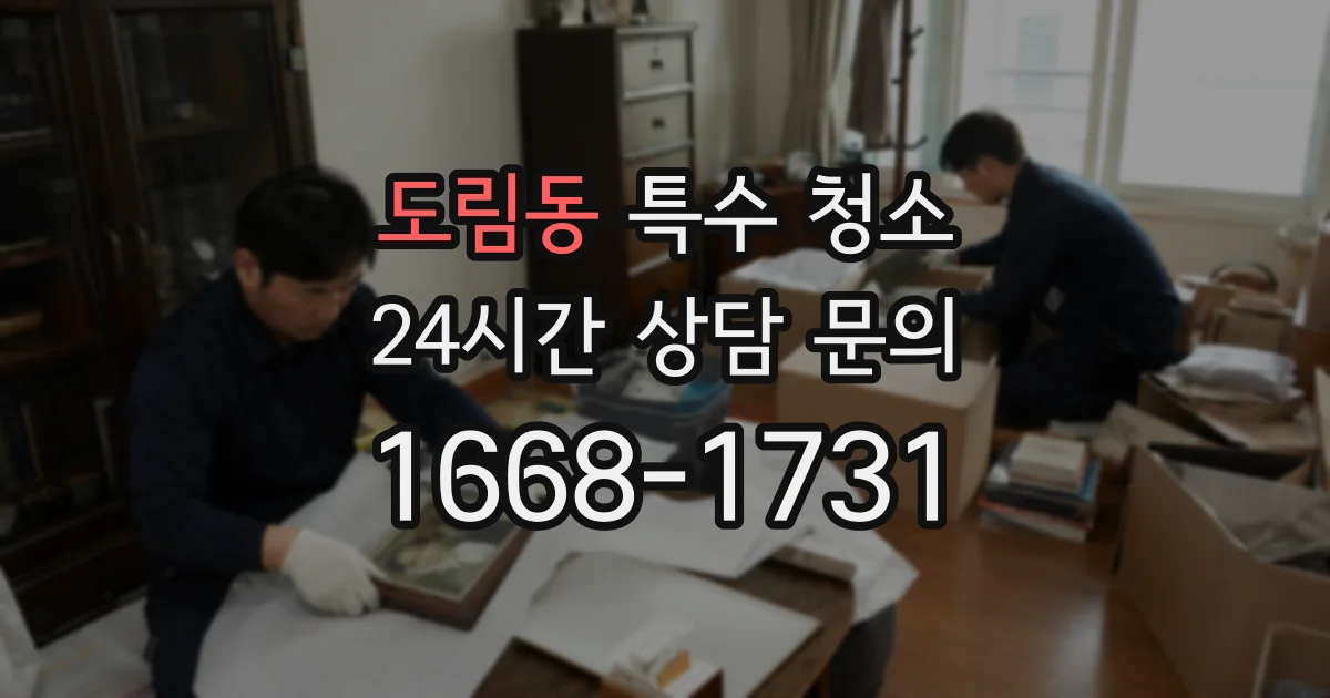 도림동 특수 청소