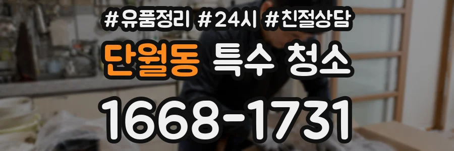 단월동 특수 청소