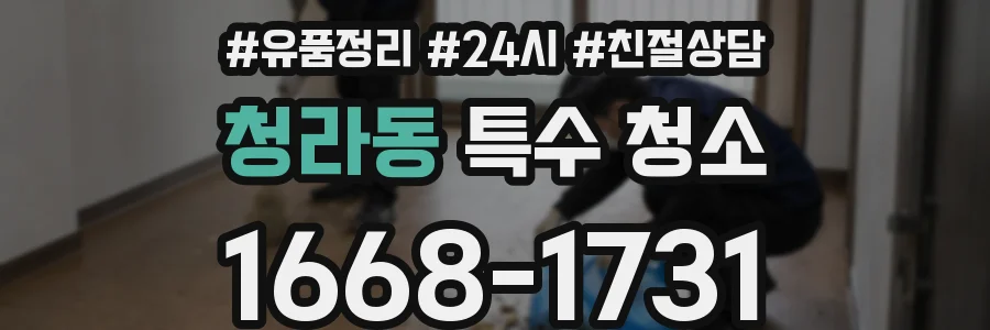 청라동 특수 청소