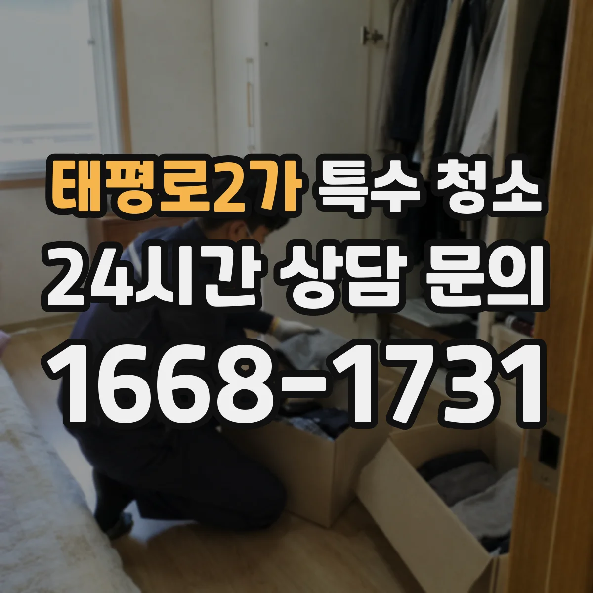 태평로2가 특수 청소 벽지·타일 표면별 용제 선택 기준