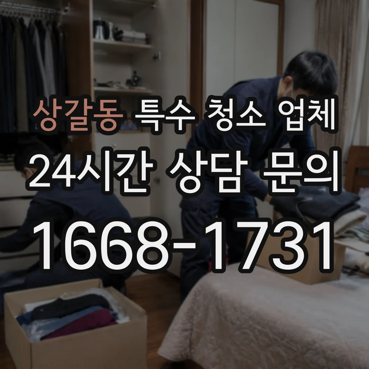 상갈동 특수 청소 업체