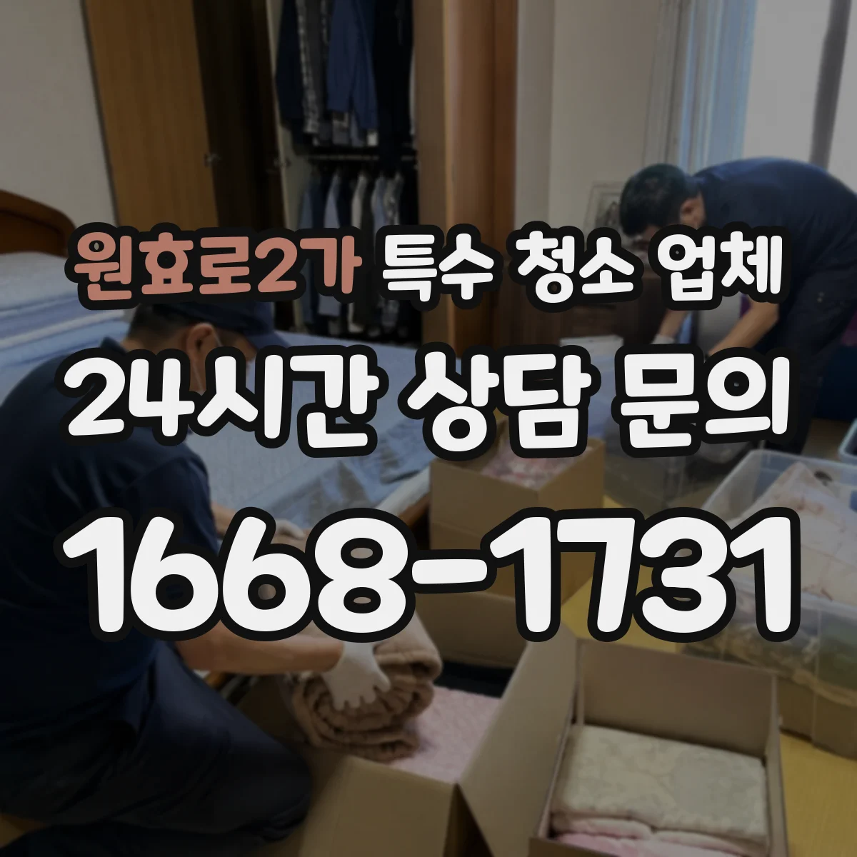 원효로2가 특수 청소 업체