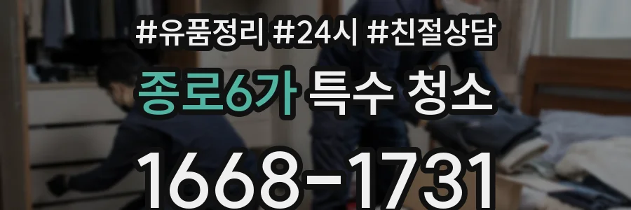 종로6가 특수 청소