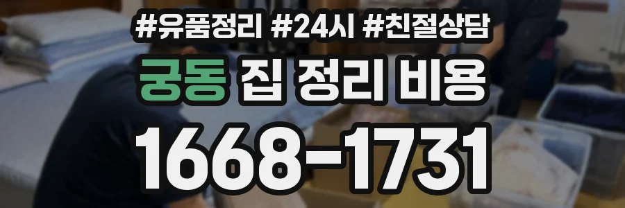 궁동 집 정리 비용