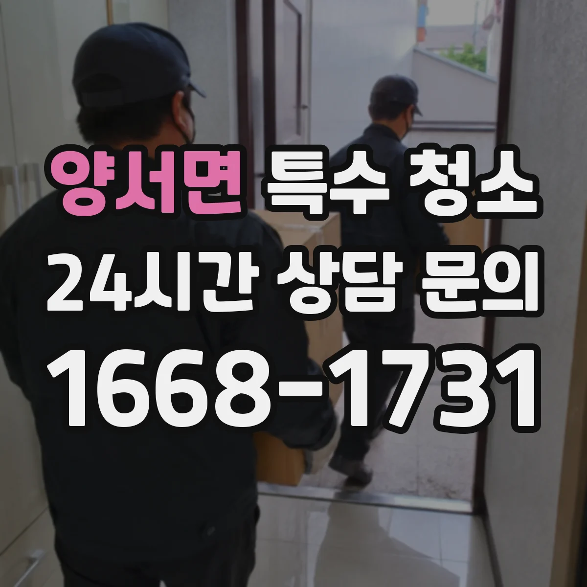 양서면 특수 청소