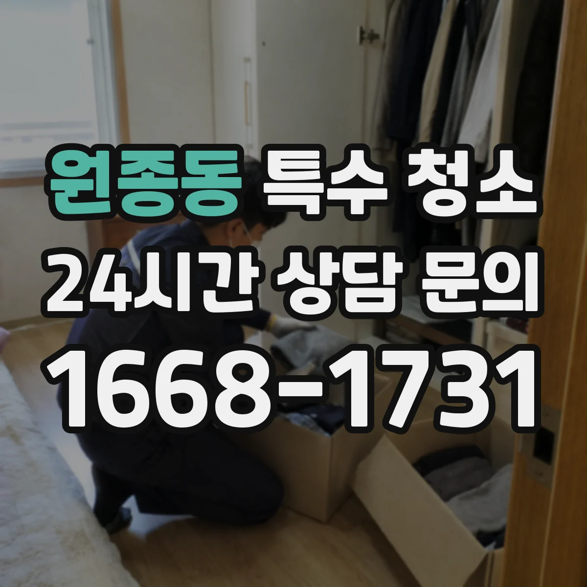 원종동 특수 청소