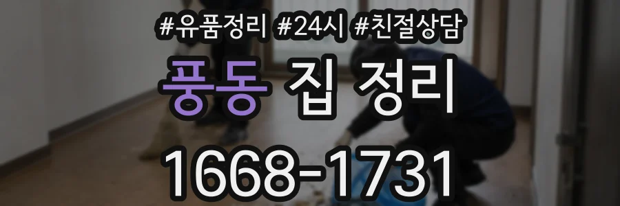 풍동 집 정리