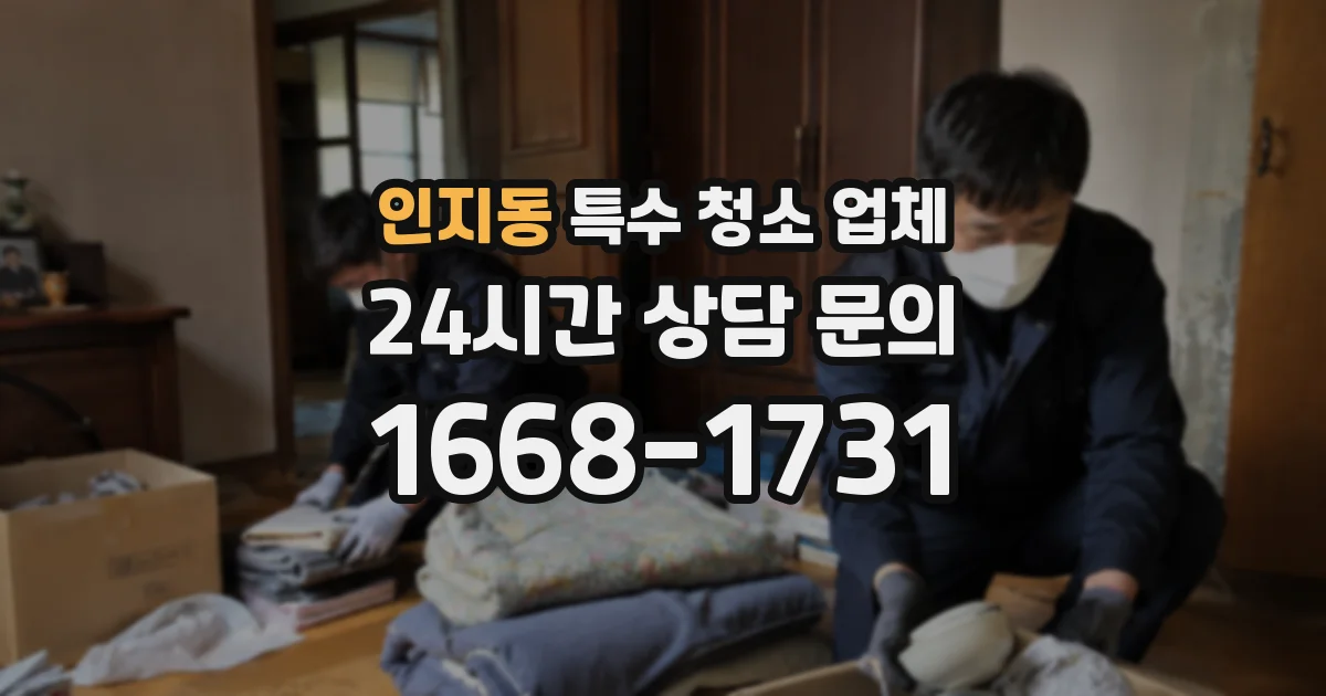 인지동 특수 청소 업체