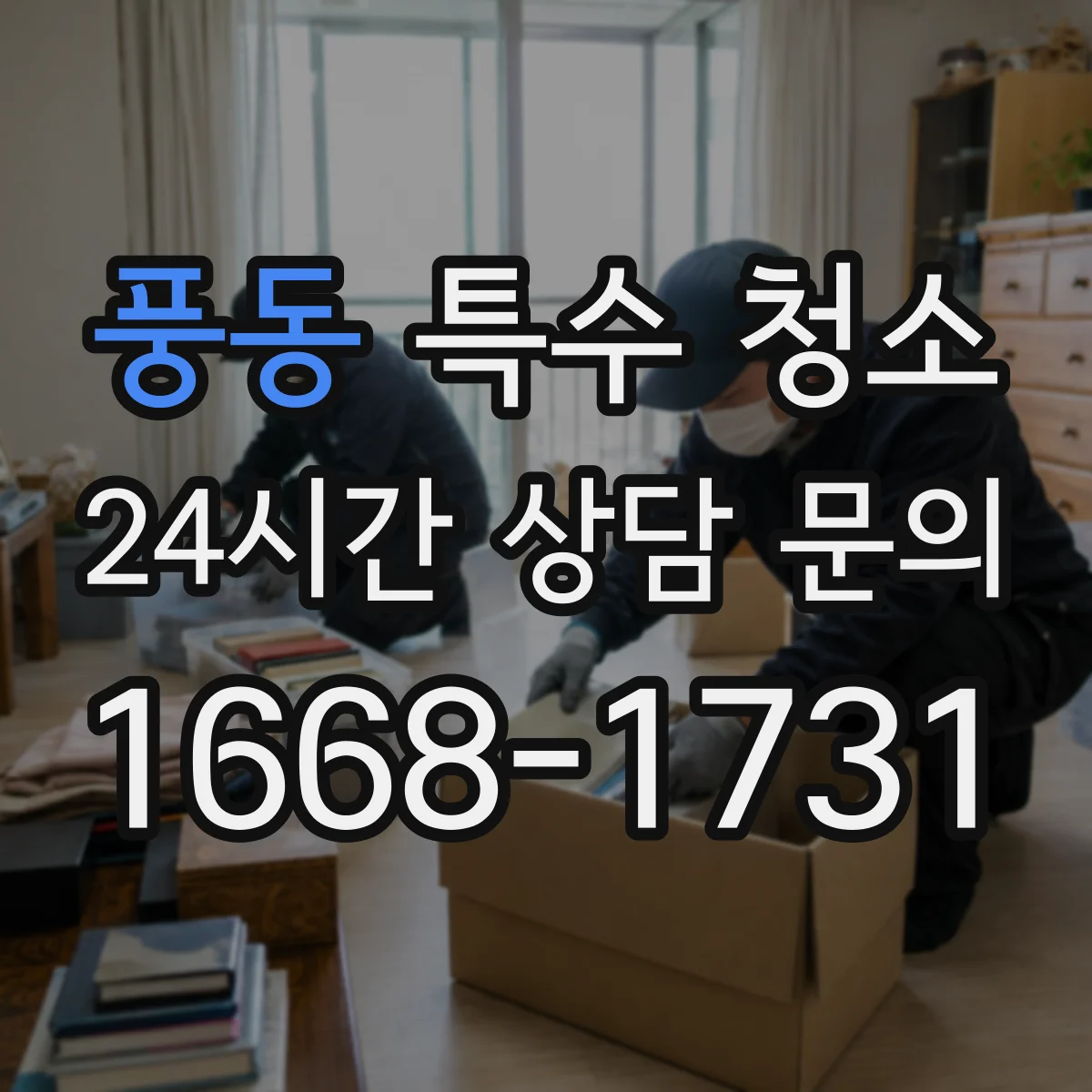풍동 특수 청소