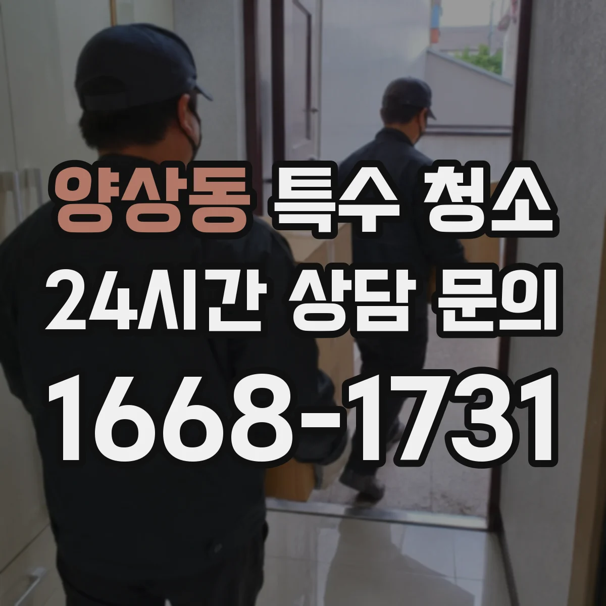 양상동 특수 청소