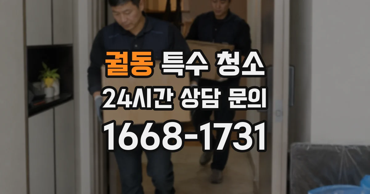 궐동 특수 청소