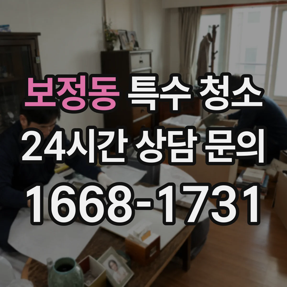 보정동 특수 청소