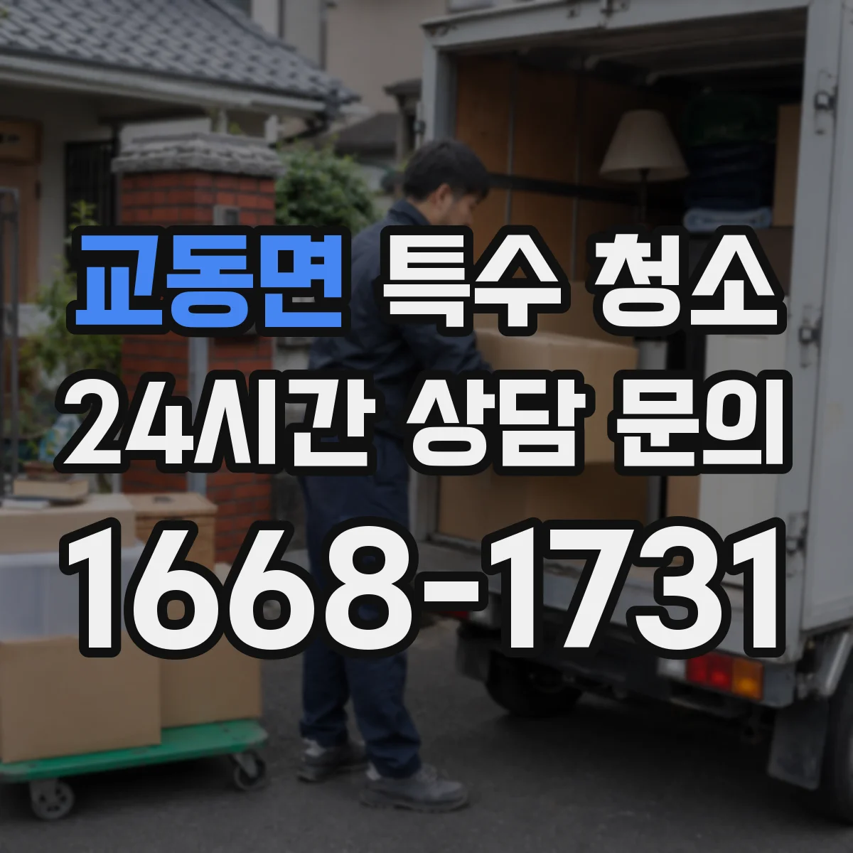 교동면 특수 청소