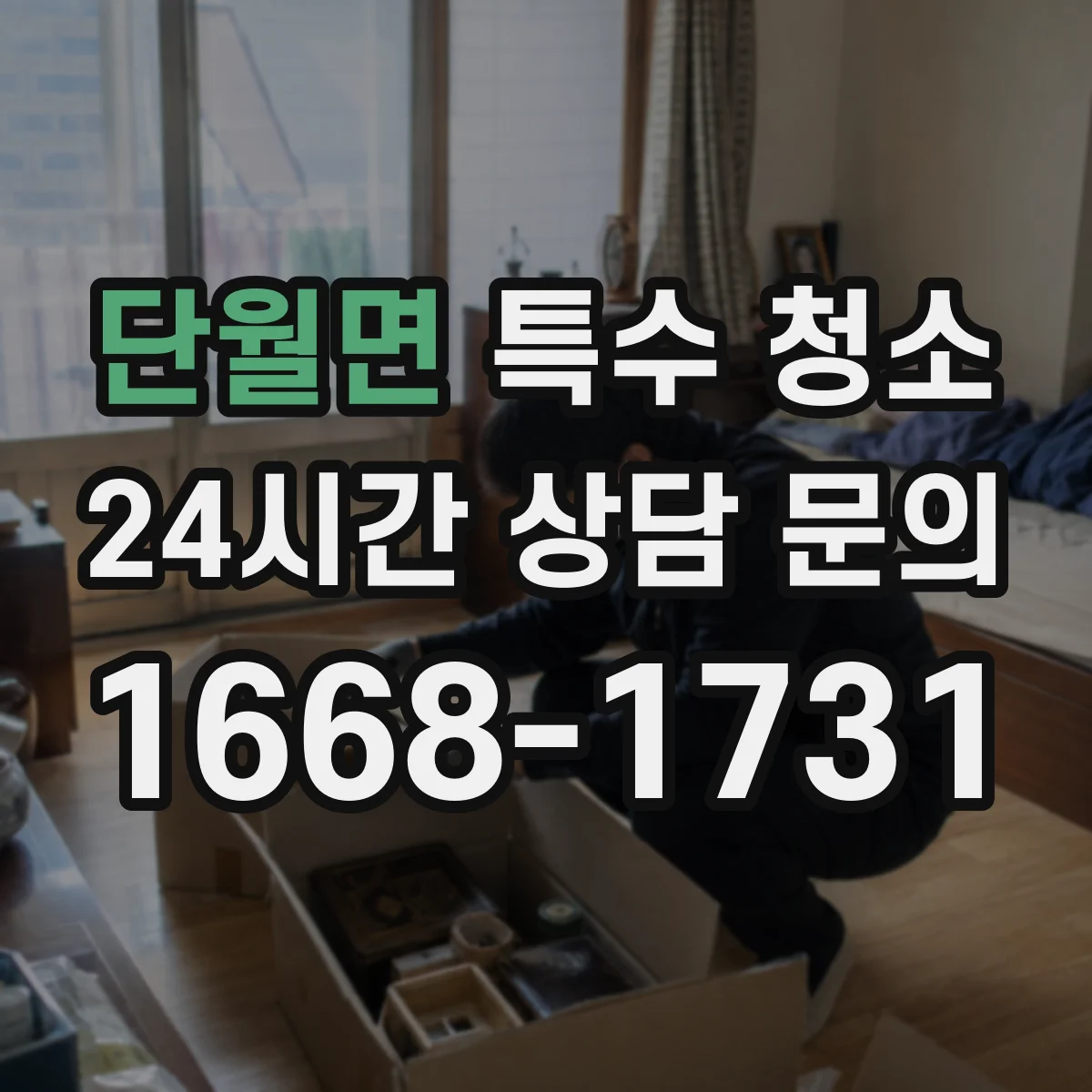 단월면 특수 청소