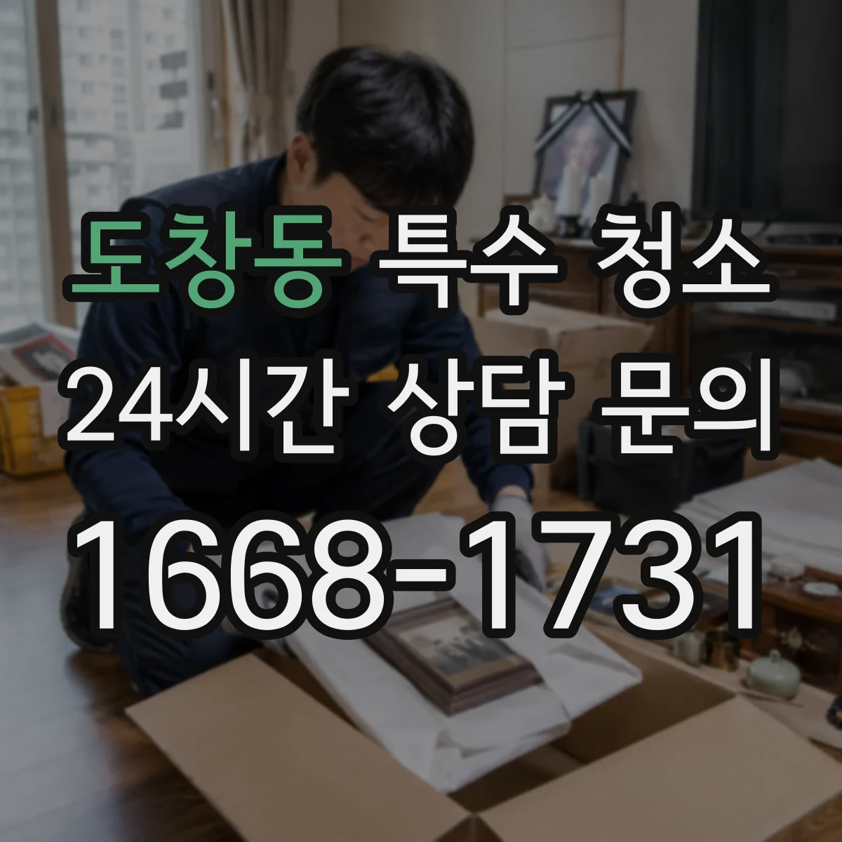 도창동 특수 청소