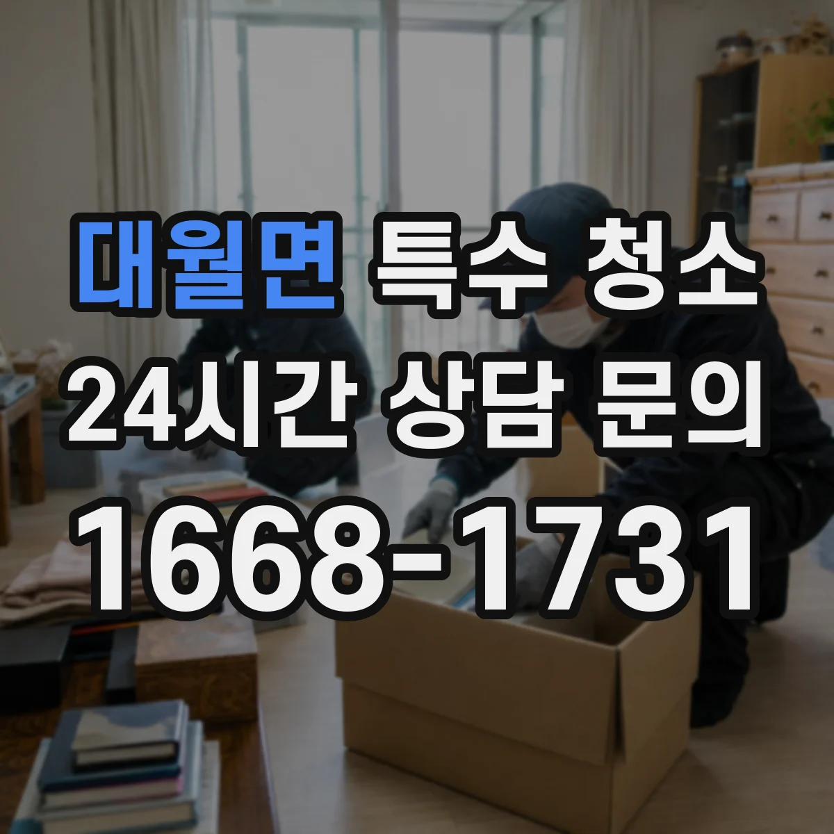 대월면 특수 청소