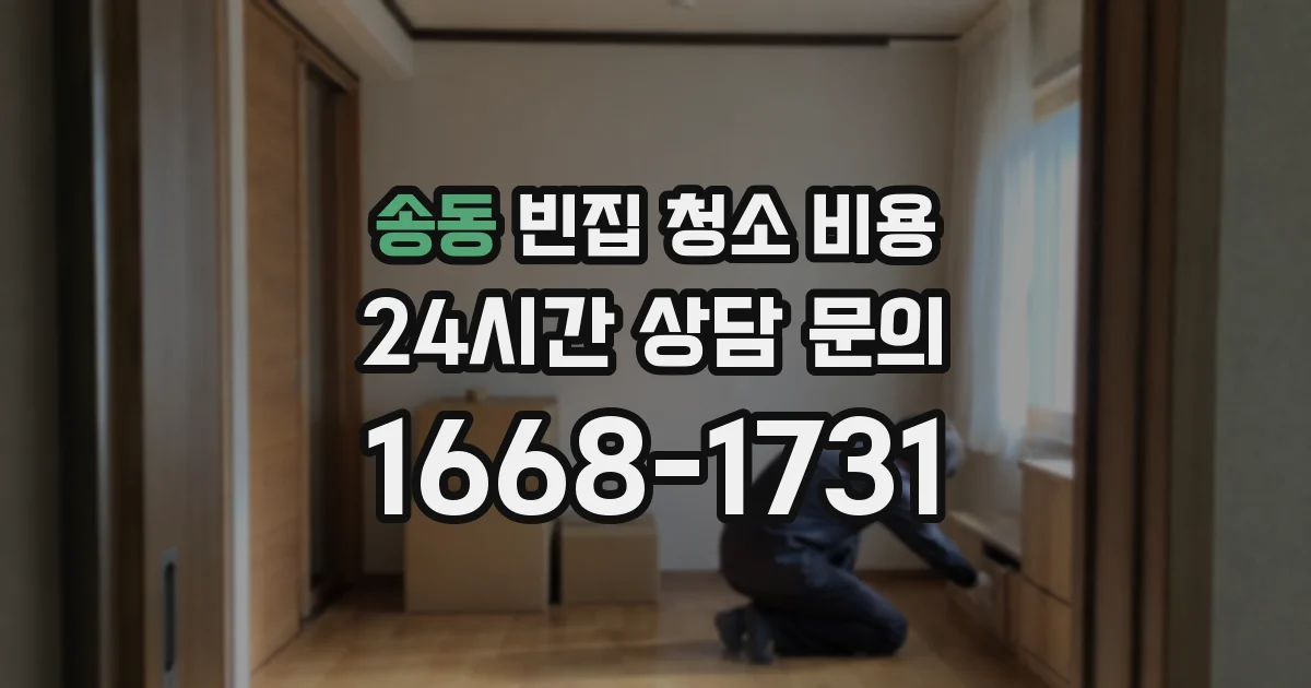 송동 빈집 청소 비용