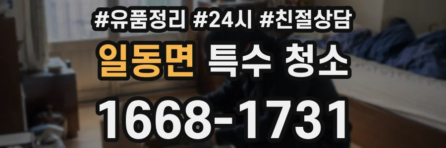 일동면 특수 청소