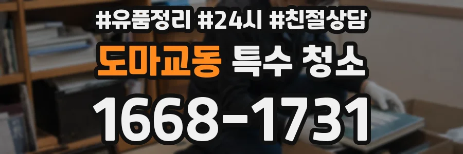 도마교동 특수 청소