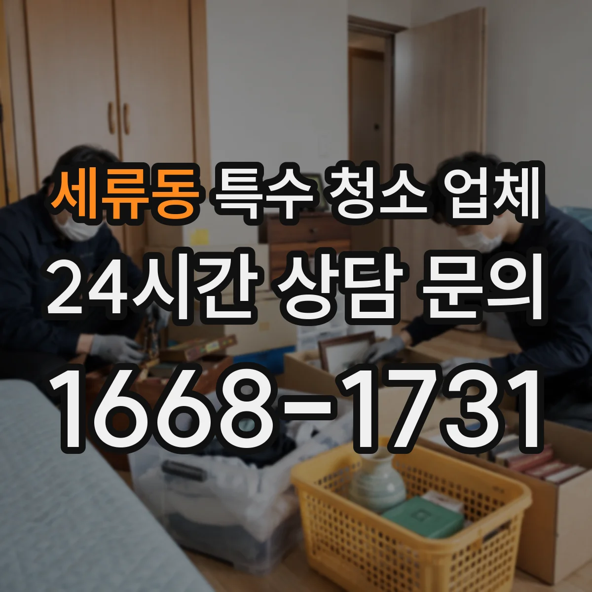 세류동 특수 청소 업체
