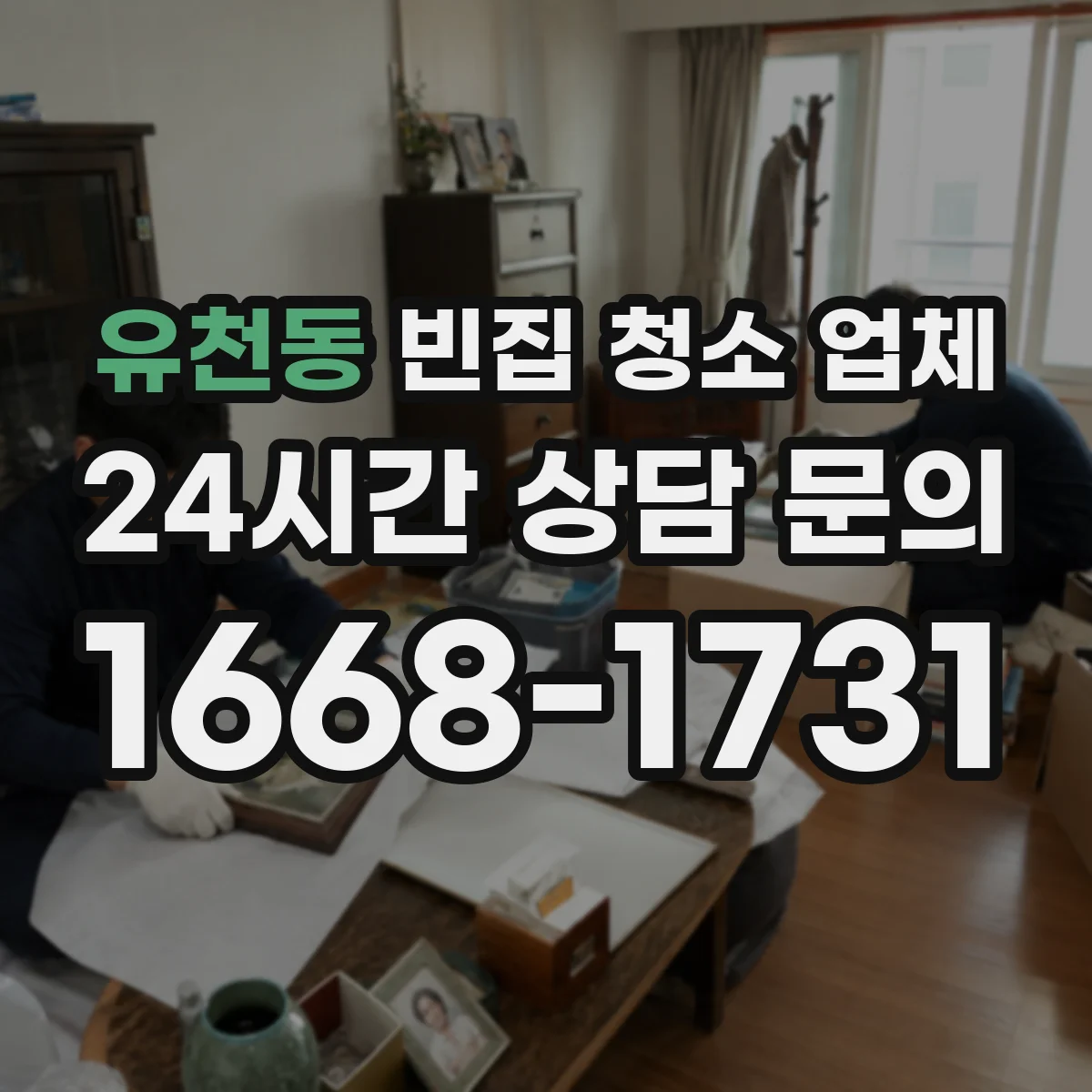 유천동 빈집 청소 업체