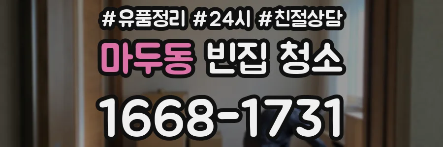 마두동 빈집 청소