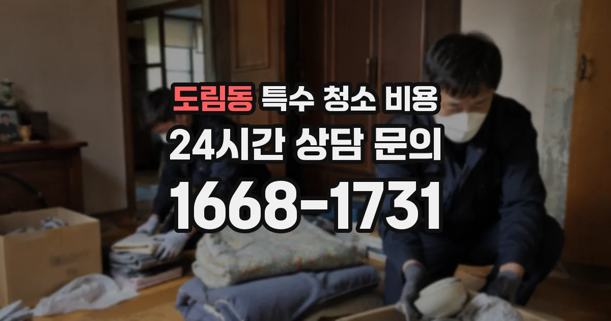 도림동 특수 청소 비용