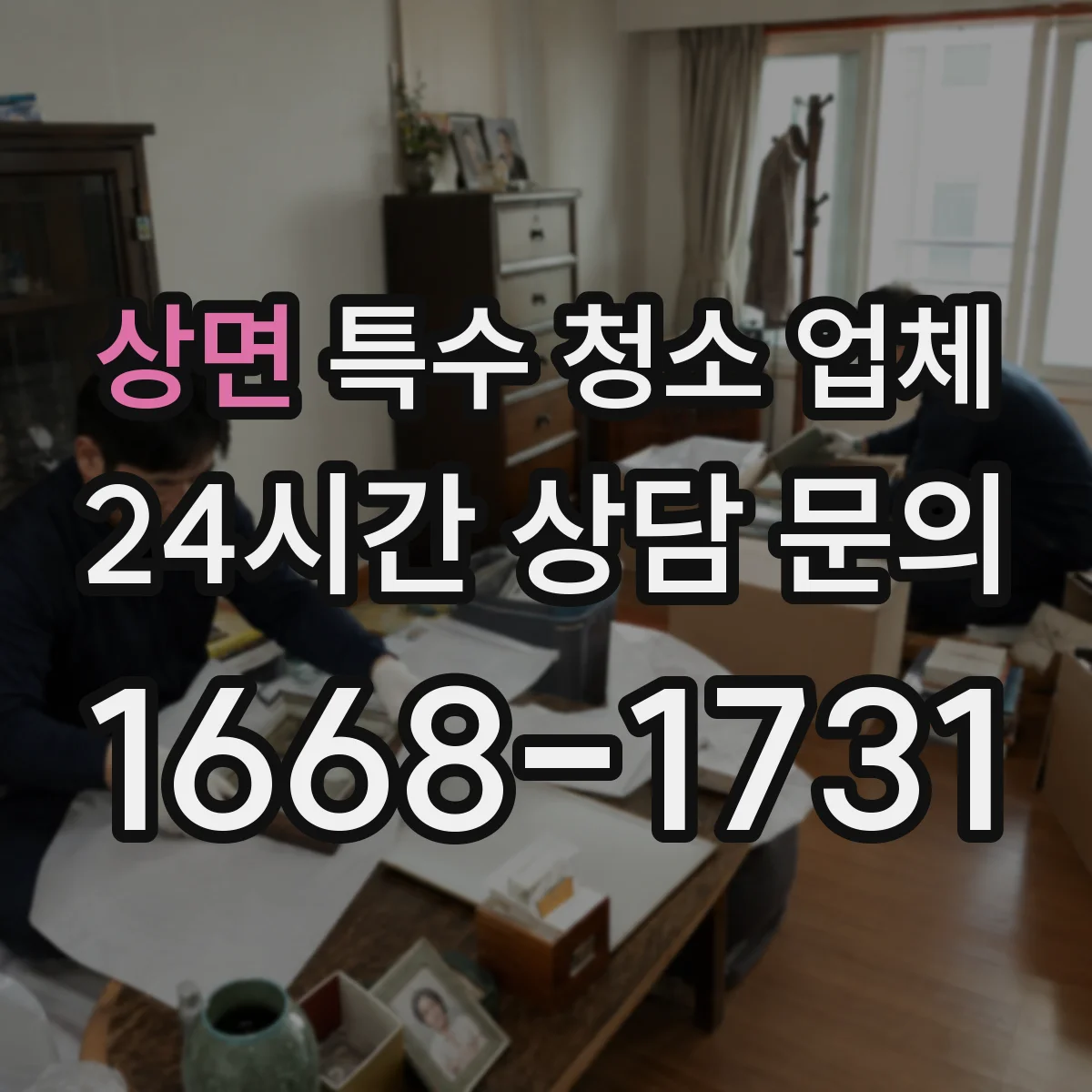 상면 특수 청소 업체