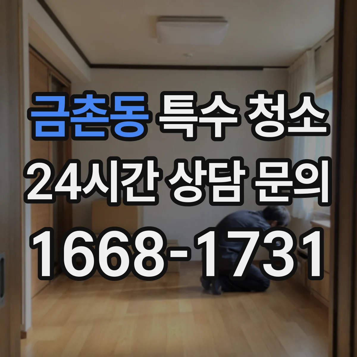 금촌동 특수 청소