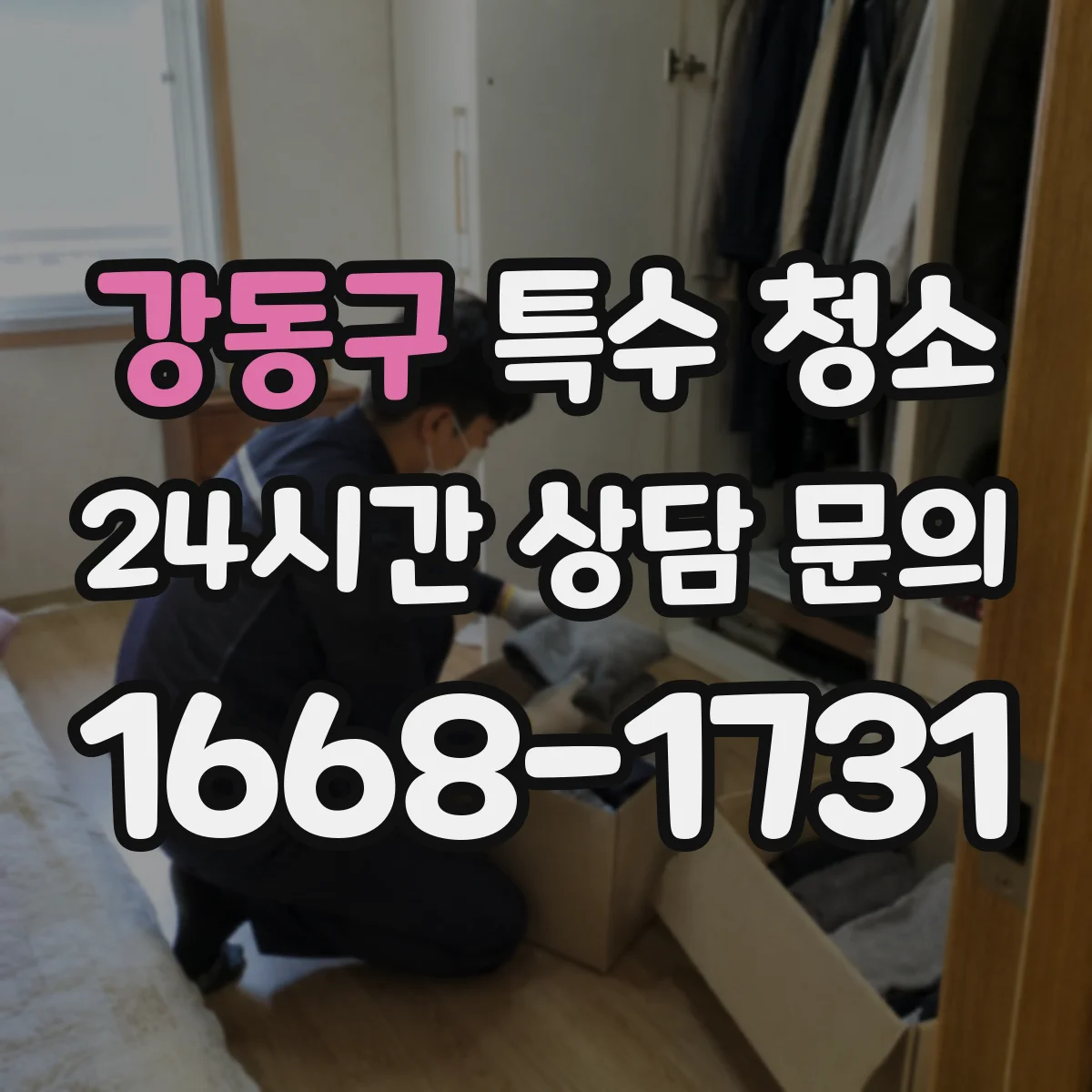 강동구 특수 청소