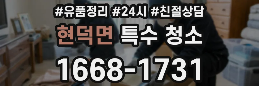 현덕면 특수 청소