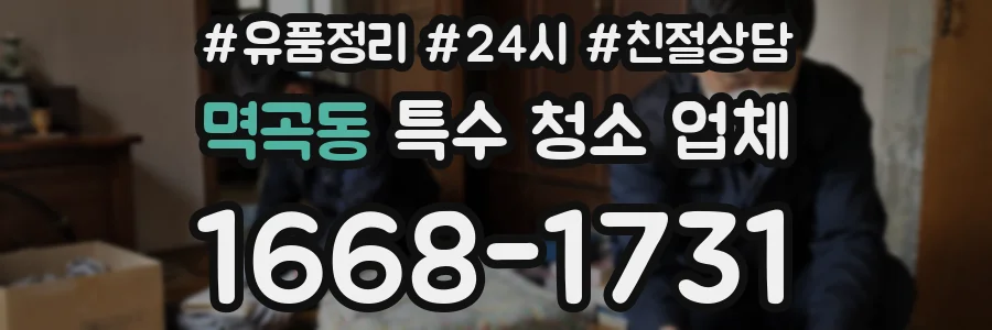 멱곡동 특수 청소 업체