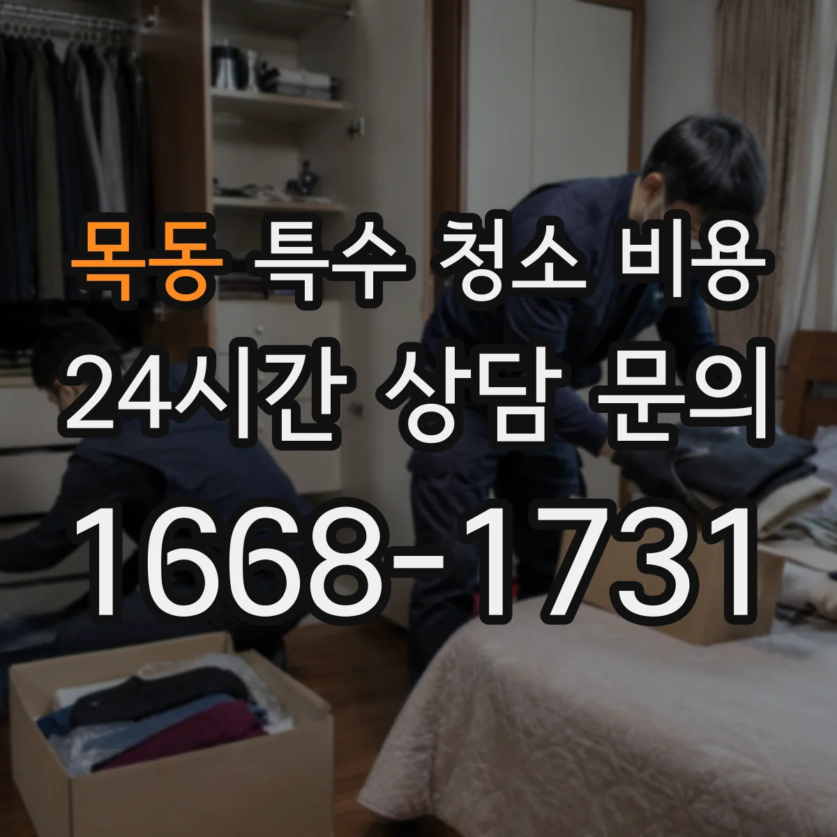 목동 특수 청소 비용