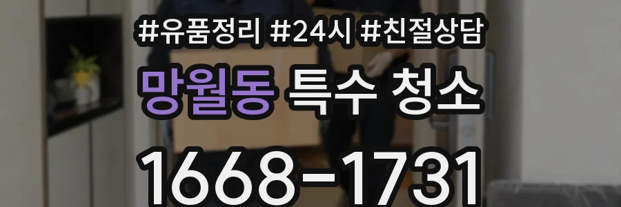 망월동 특수 청소