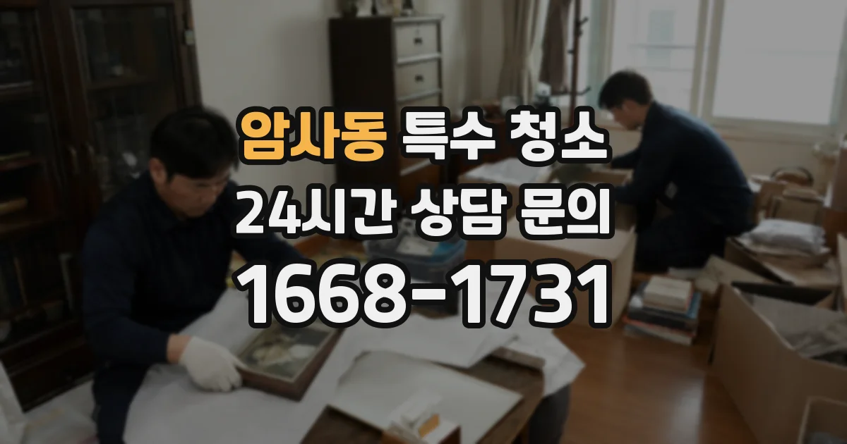 암사동 특수 청소