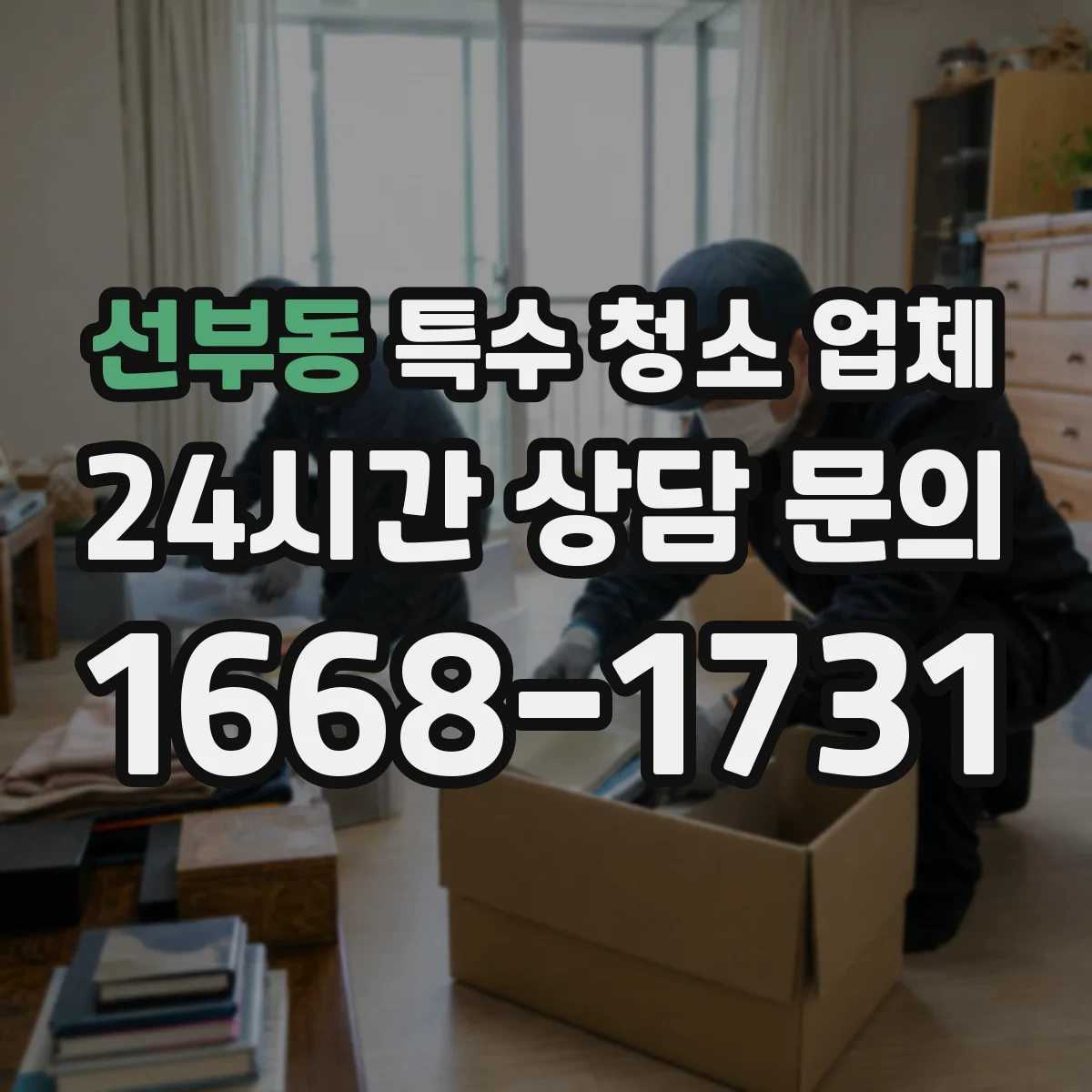 선부동 특수 청소 업체