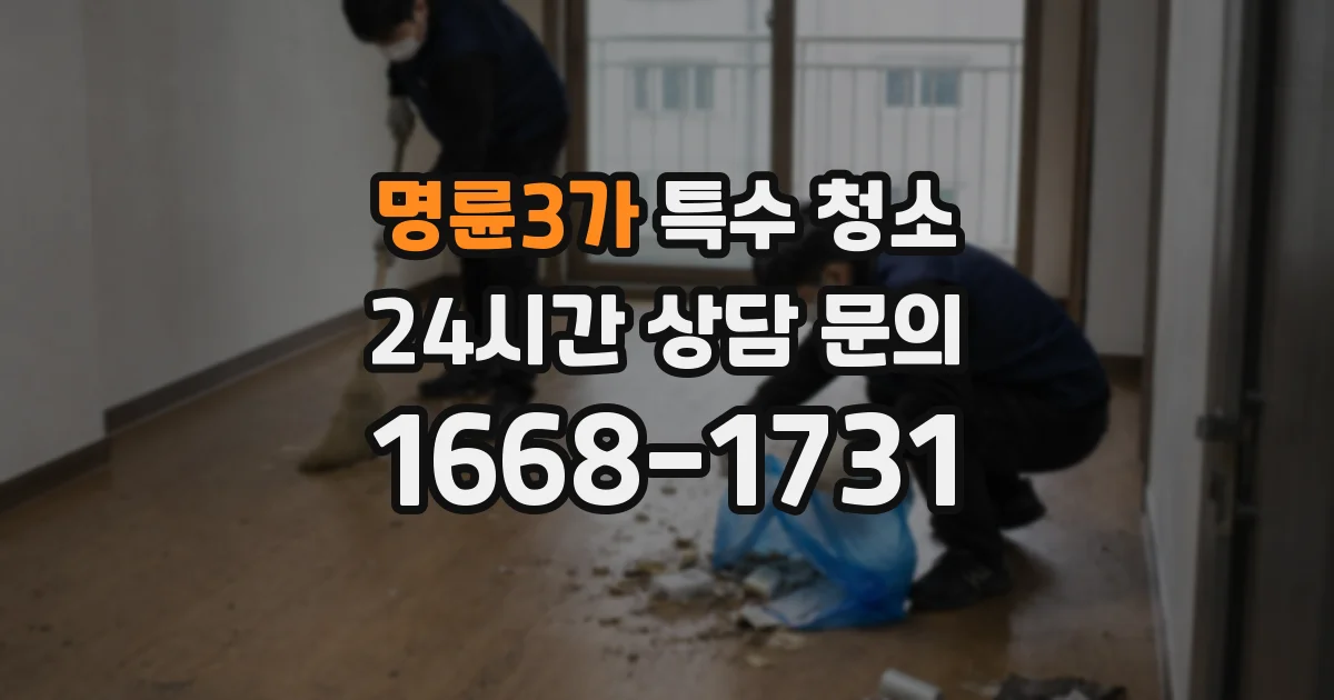 명륜3가 특수 청소