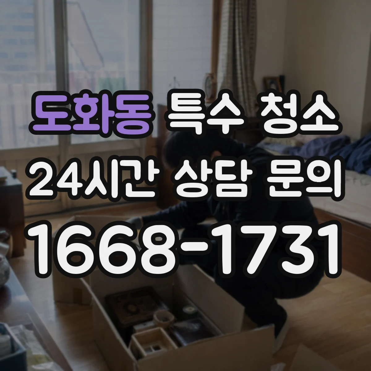 도화동 특수 청소