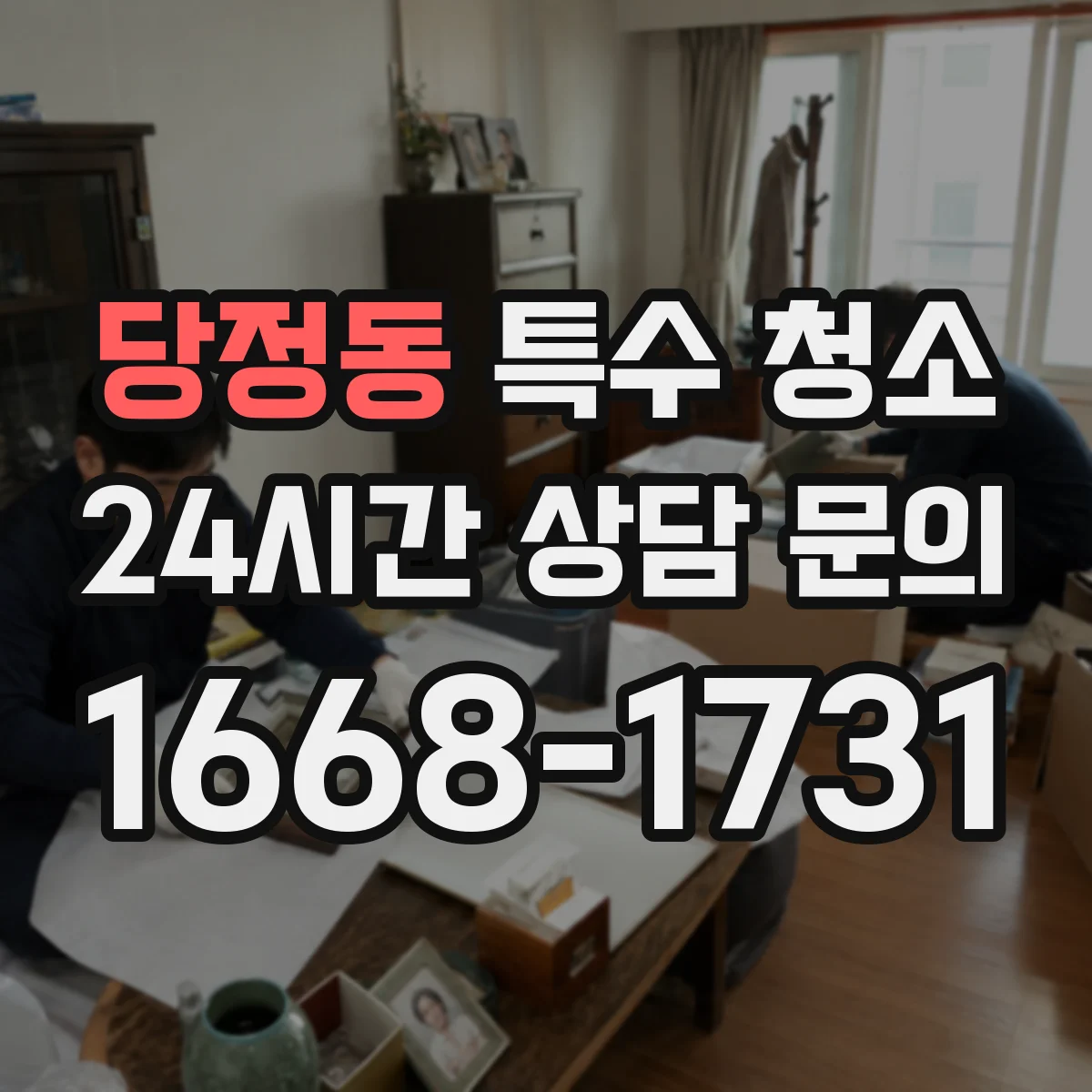 당정동 특수 청소