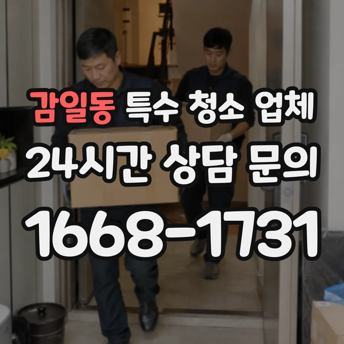 감일동 특수 청소 업체
