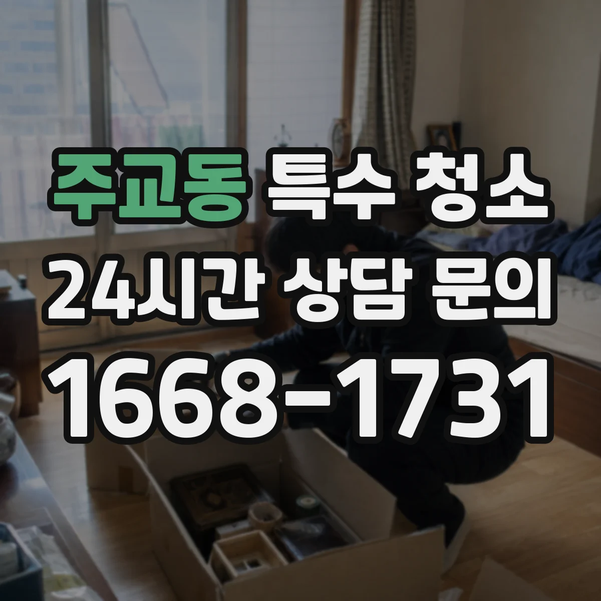 주교동 특수 청소