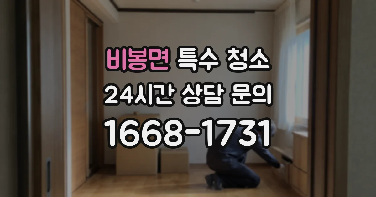 비봉면 특수 청소