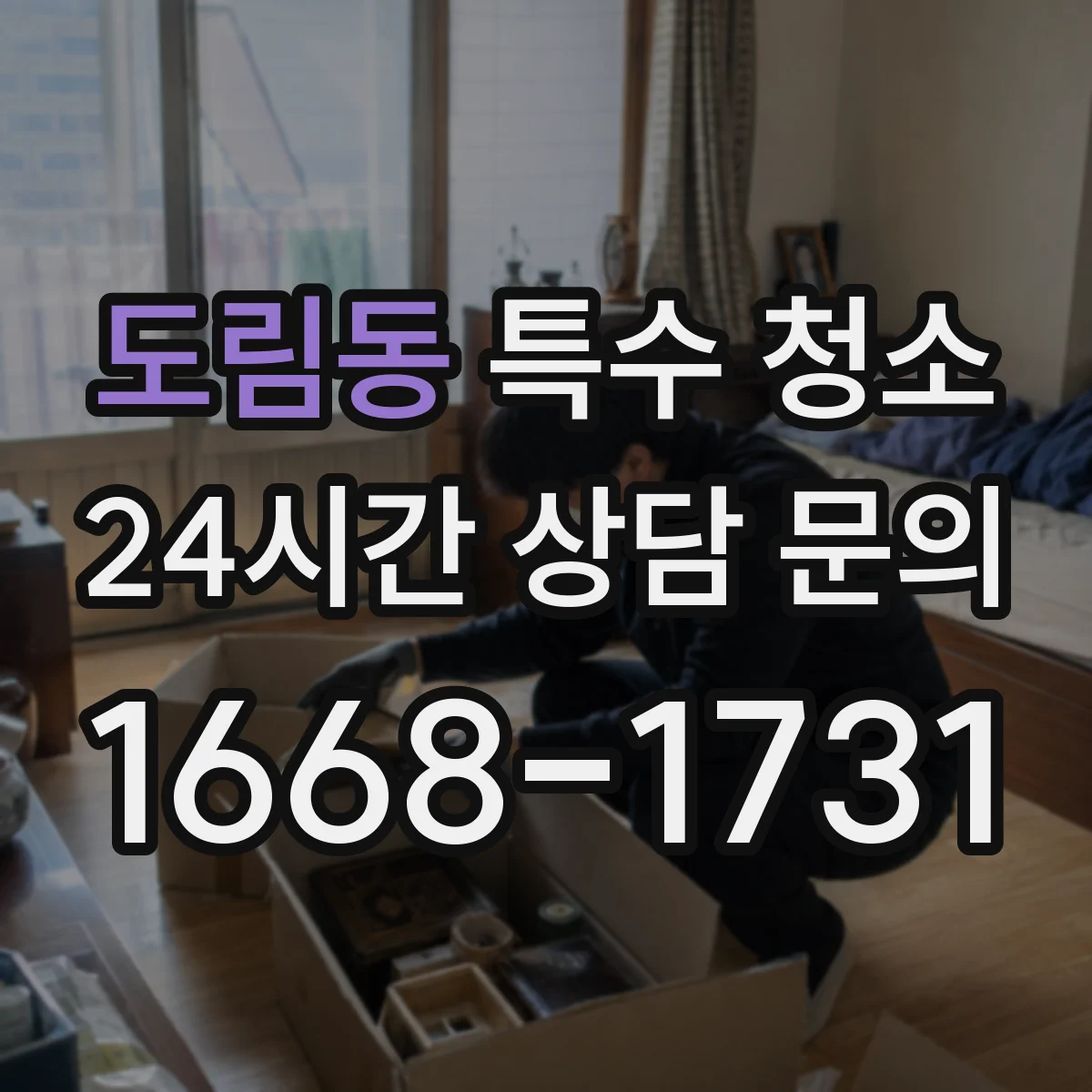 도림동 특수 청소