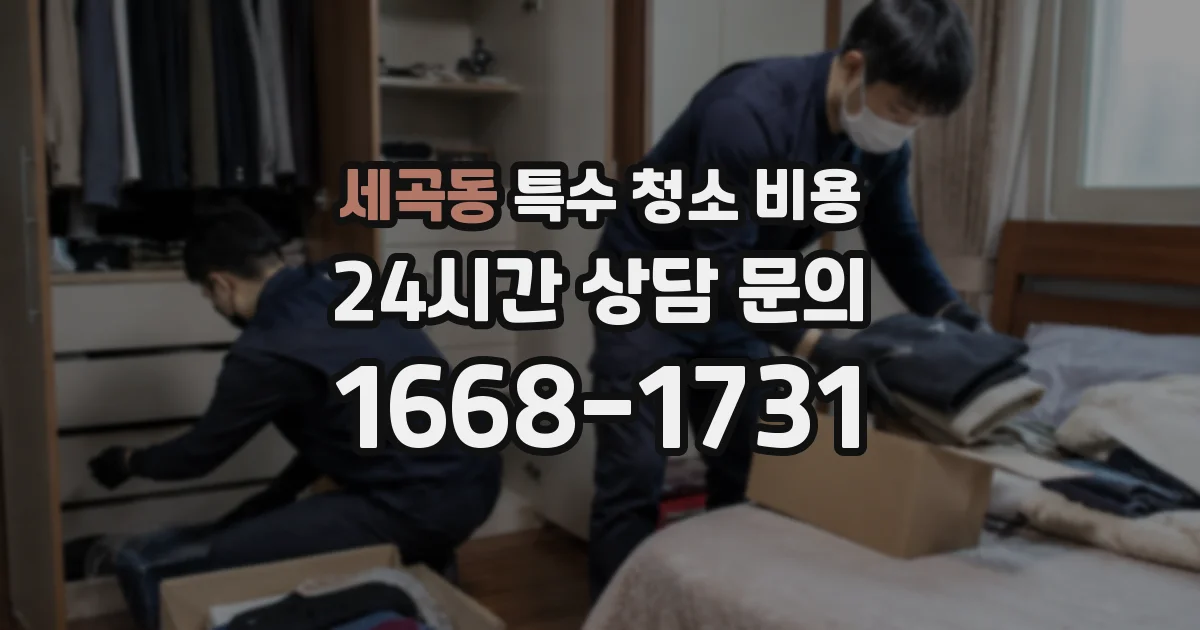 세곡동 특수 청소 비용