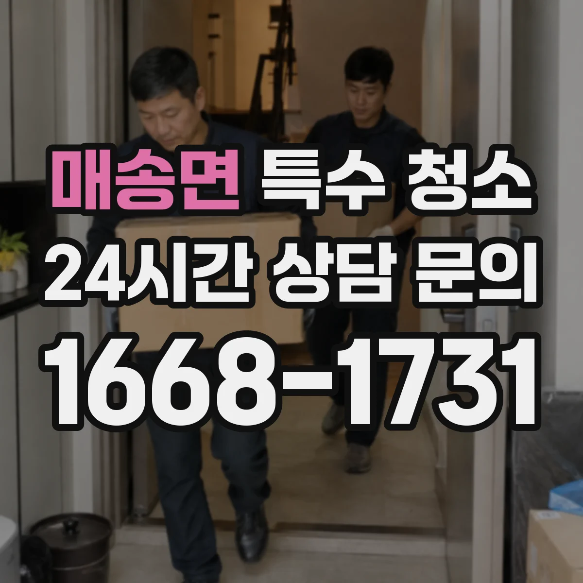 매송면 특수 청소