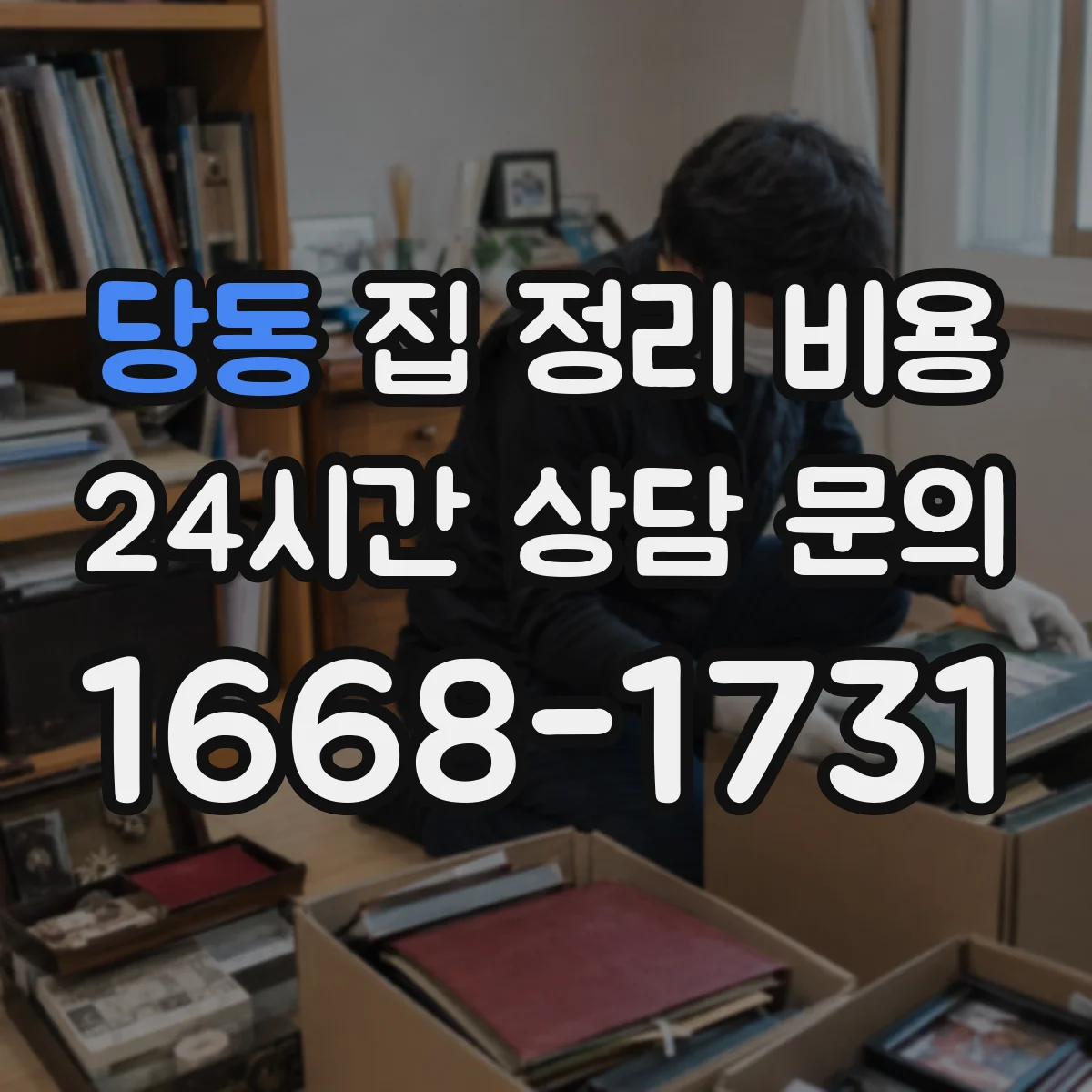 당동 집 정리 비용